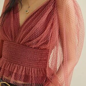 Anthropologie Burgundy Sheer Puff-Sleeve V-Neck Blouse